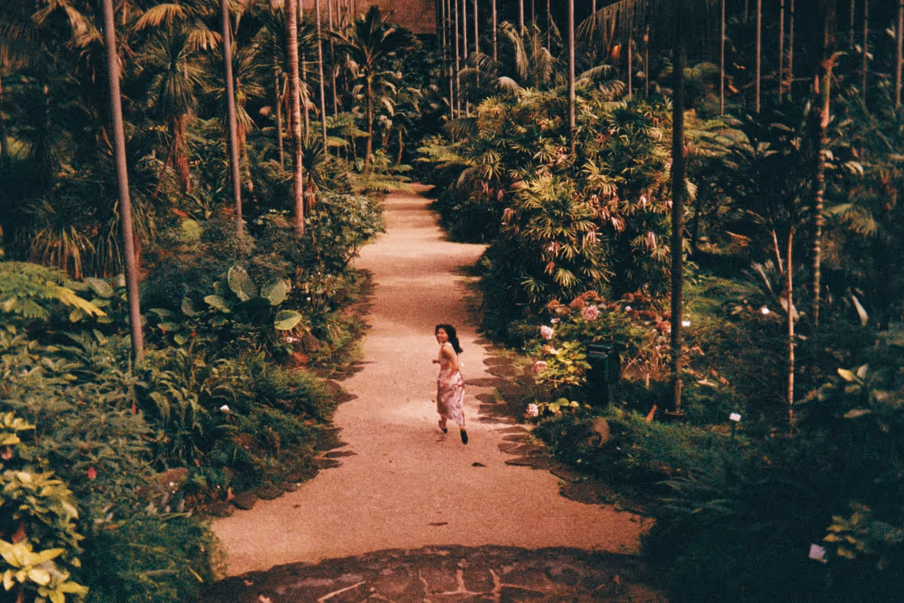 Portugal on Film — photograph 3 of 11 by Wanli Wang, Lisbon, Porto & Azores 2024