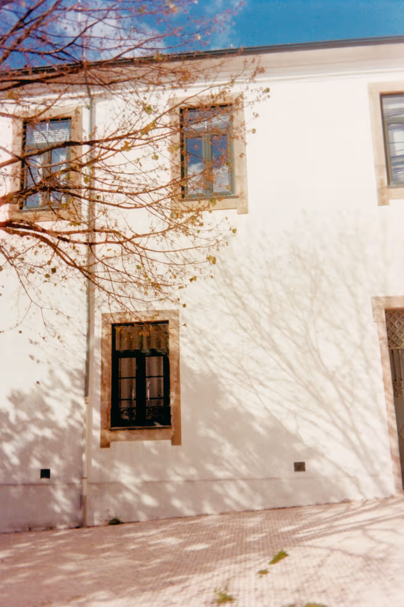 Portugal on Film — photograph 6 of 11 by Wanli Wang, Lisbon, Porto & Azores 2024