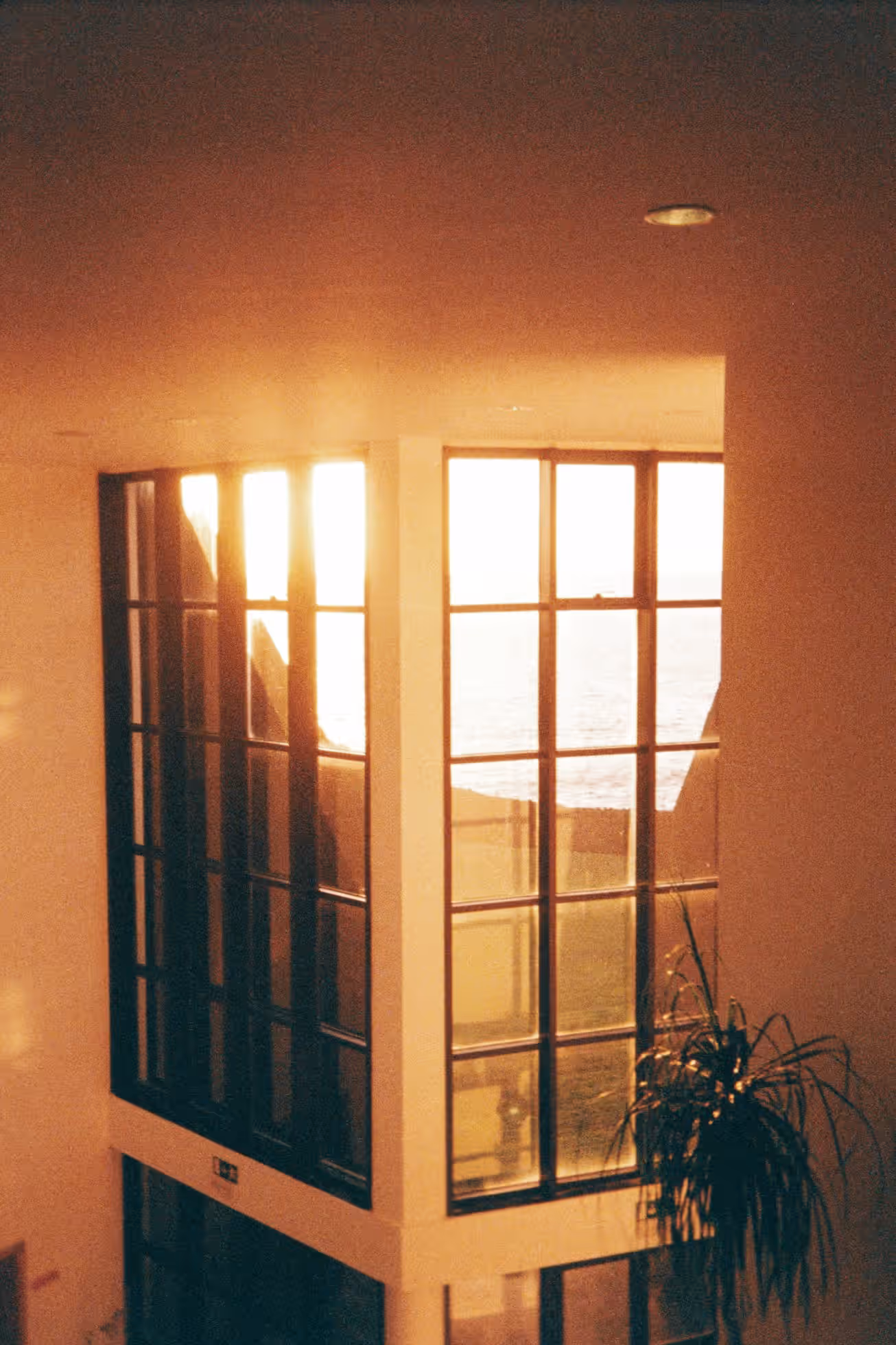 Portugal on Film — photograph 8 of 11 by Wanli Wang, Lisbon, Porto & Azores 2024