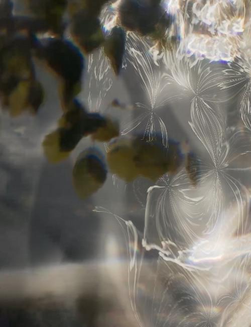 The same water surface, now moving in response to music