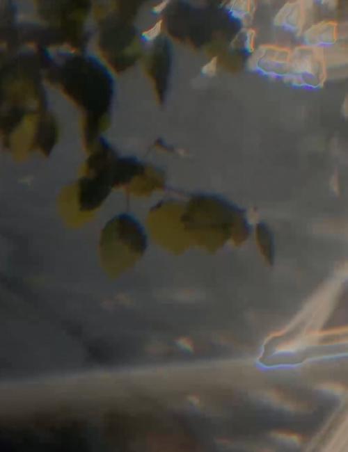 The water at rest, before any sound reaches it